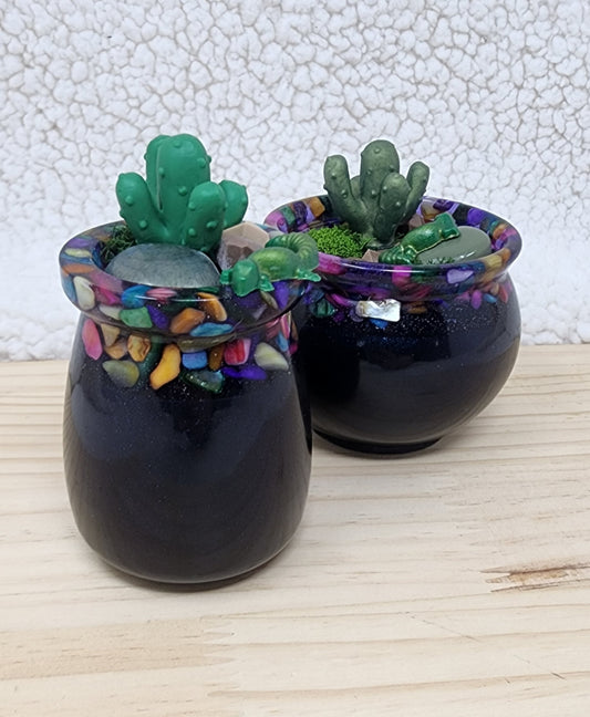 Clumsy Cactus Garden