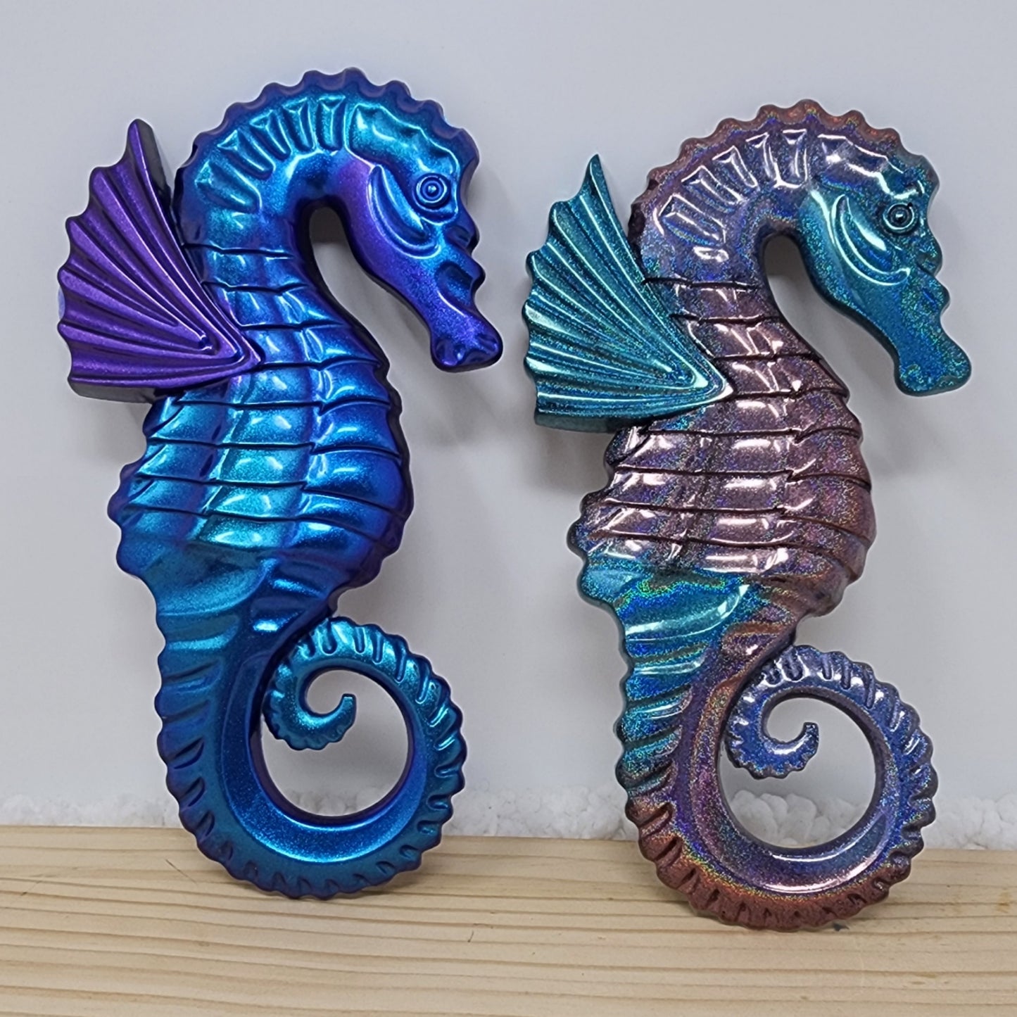 Luca the Seahorse