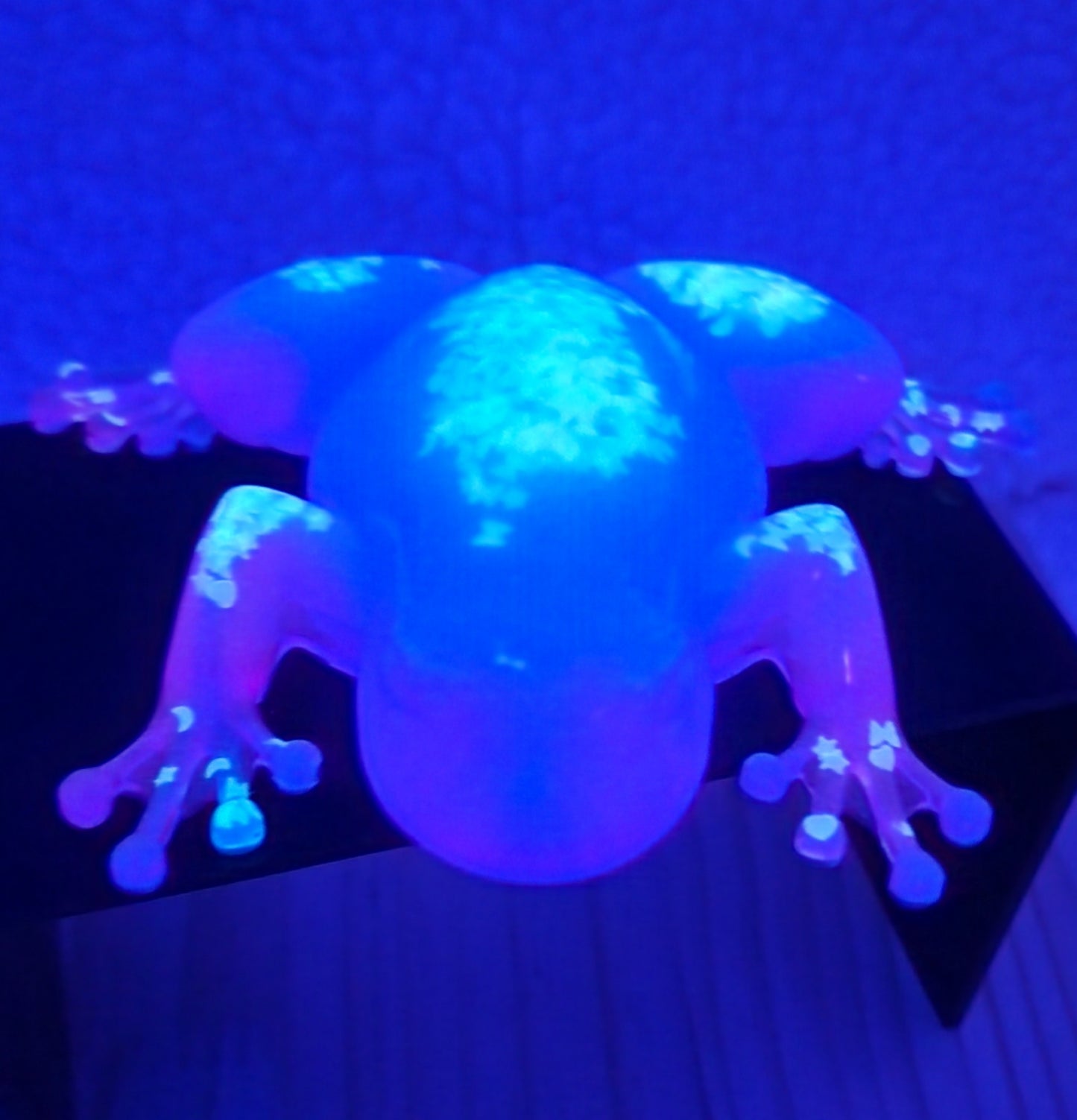 Tyson the Glowing Frog