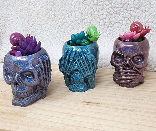 Clumsy Skull Garden