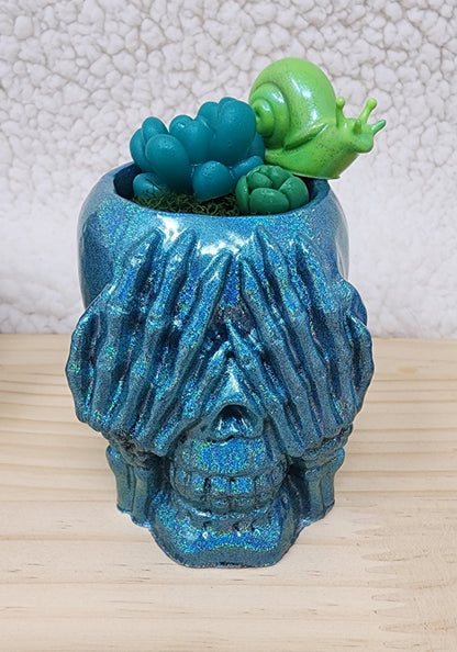 Clumsy Skull Garden