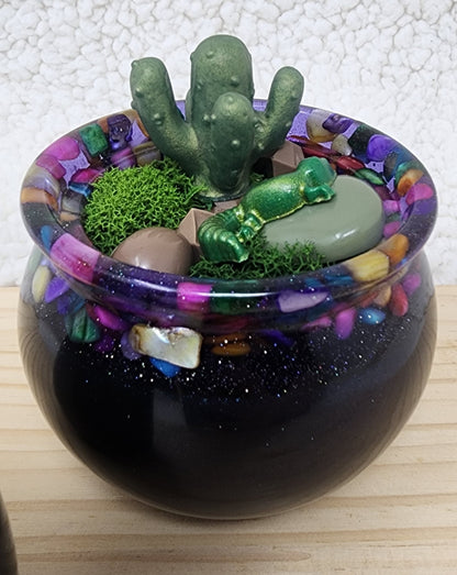 Clumsy Cactus Garden