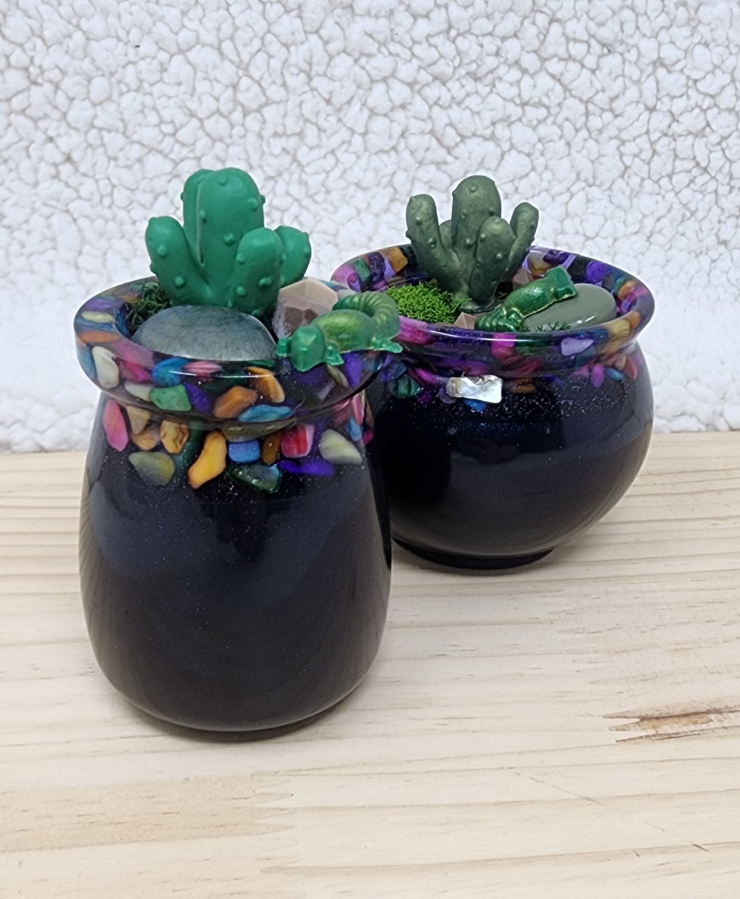 Clumsy Cactus Garden