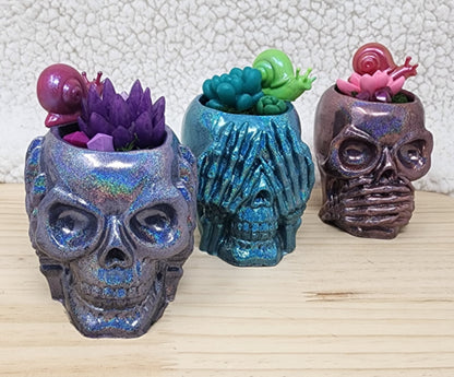 Clumsy Skull Garden