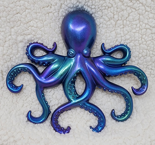 Hank the Octopus