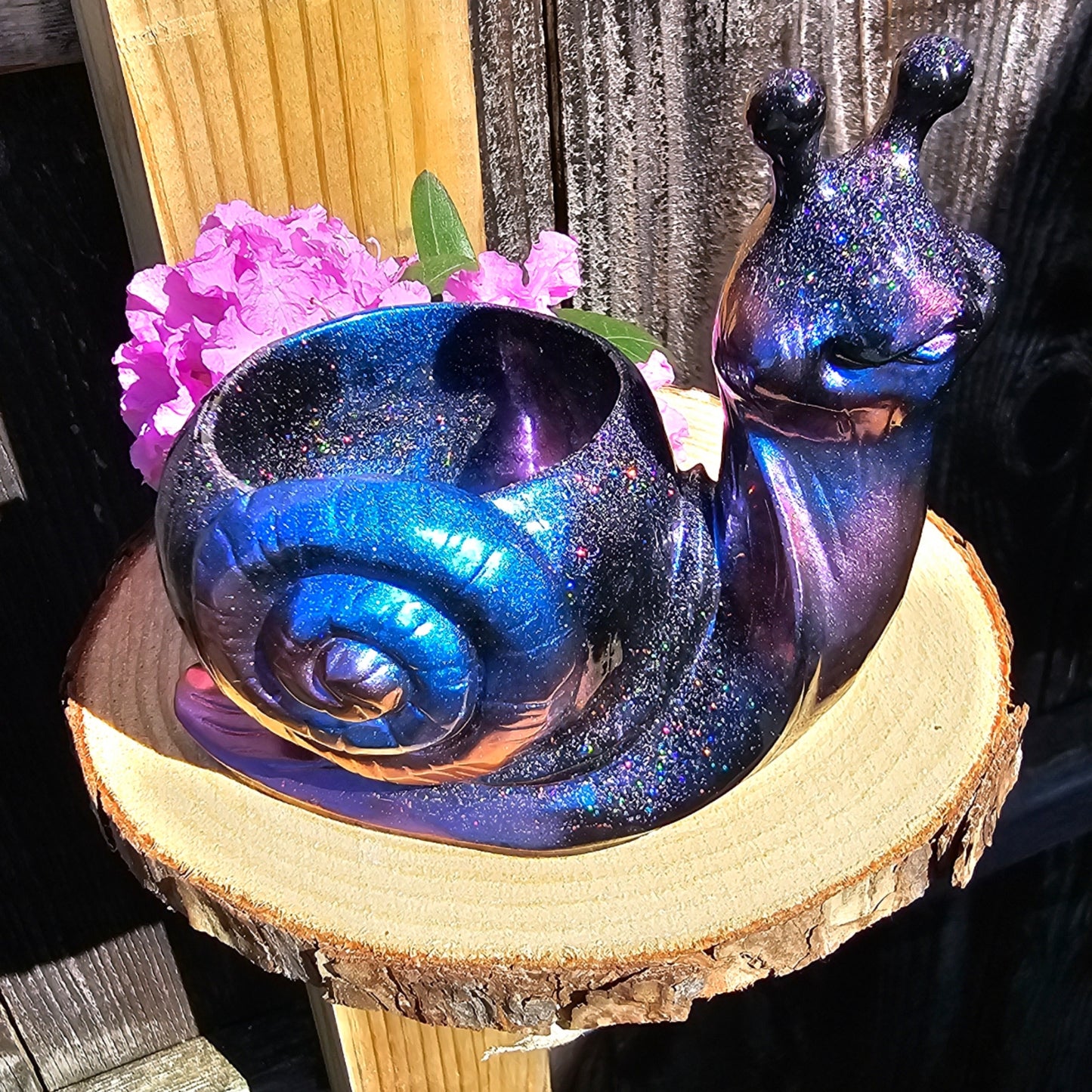 Henry the Snail Succulent Pot