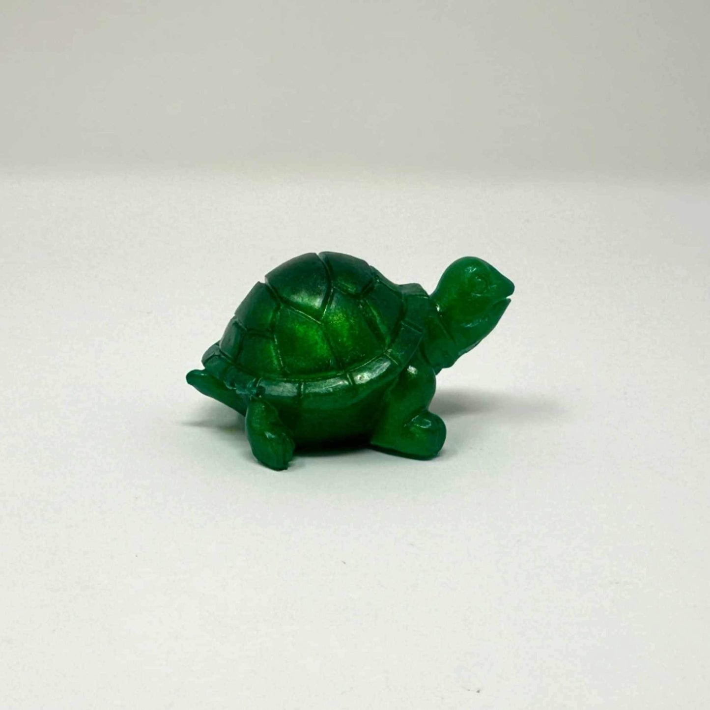 Tiny Tim the Turtle