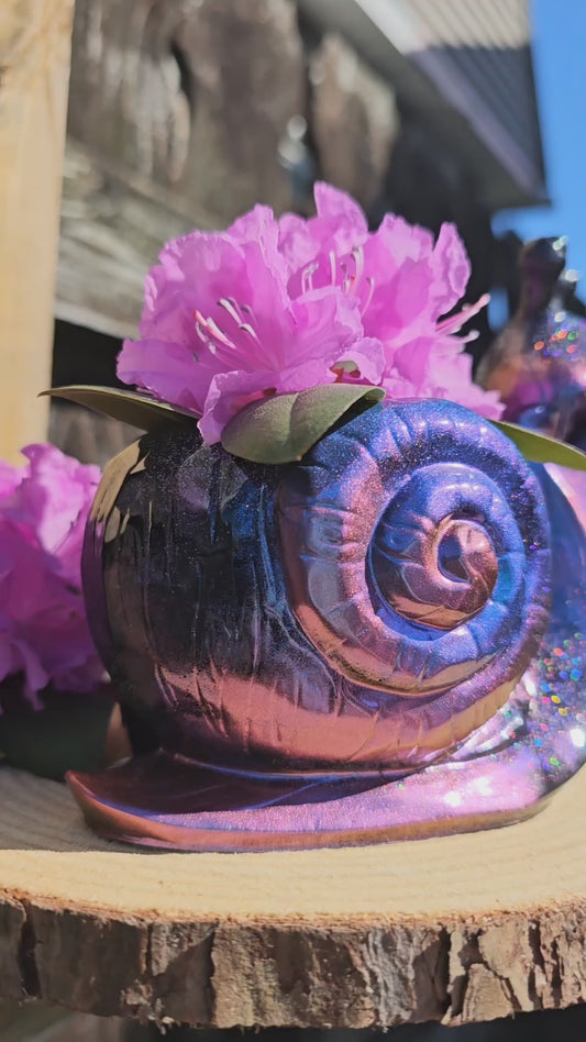 Henry the Snail Succulent Pot