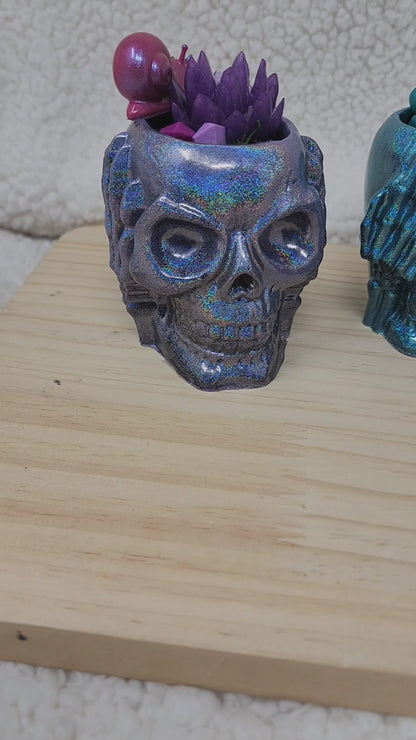 Clumsy Skull Garden